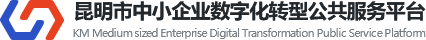 昆明市中小企业数字化转型公共服务平台